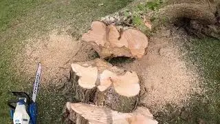 Hyundai или Hyundai? Рубим дерево!