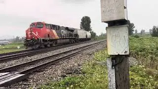 TRAINS BC 2024 CN G834 G3 GRAIN TRAIN IN MATSQUI BC CANADA ES44AC 2913 LEADING 26AUG24