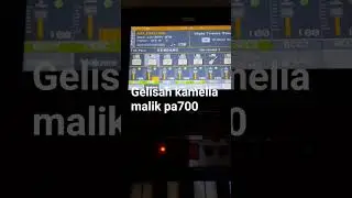 #gelisah korg pa700