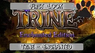 First Look - Trine Enchanted