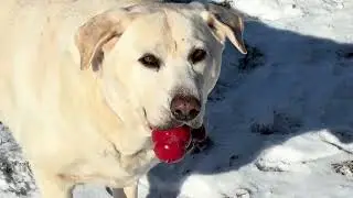 I am not letting go!!!!
