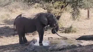 Garonga Safari Camp