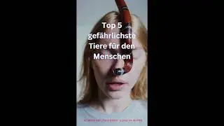 Tierwunder   09
