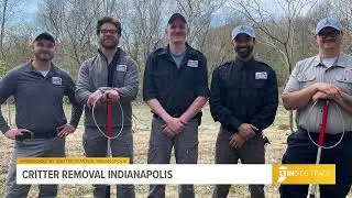 Critter Removal Wildlife and Pest Control