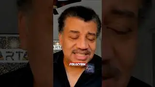 Why Do Mushrooms Produce Psilocybin? | Neil deGrasse Tyson & Bryn Dentinger | StarTalk