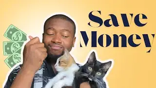 4 Money Saving Tips Every Cat Owner Should Know | Budget Friendly Cat Care
