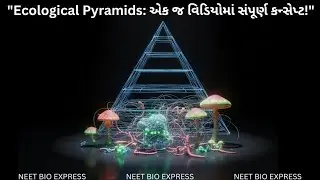 પરિસ્થિતિકીય પિરામિડ (ECOLOGICAL PYRAMID) STD 12 BIOLOGY CHAPTER 12 નિવસનતંત્ર NEET GUJCET BOARD 