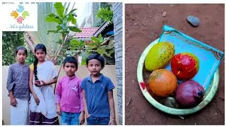 Real miniature cooking P-45|kids cooking in their outdoor miniature kitchen|mini podi dosa