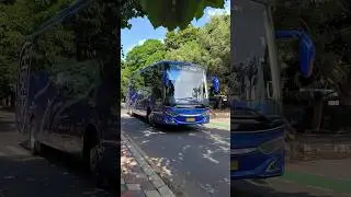 Kedatangan bus 168 Trans Putro mas #168trans #satuenamdelapan #short #viralvideo