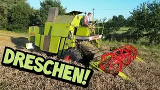 DRESCHER ABGERAUCHT | Weizen dreschen OHNE Happy End | Class Mercator 50 | Mr. Moto
