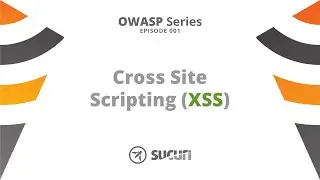 OWASP Series: XSS via outdated WP plugin