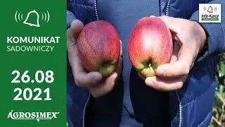 Zalecenia okołozbiorcze w sadach jabłoniowych oraz gruszowych - Komunikat sadowniczy Agrosimex