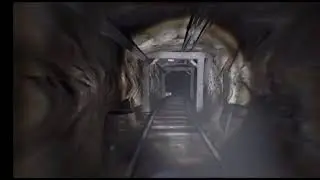 Video evidence of an unknown fate