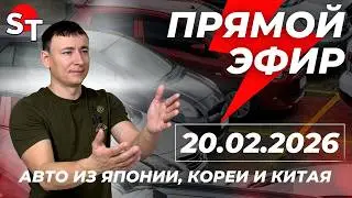 ST ПРЯМОЙ ЭФИР 20 ФЕВРАЛЯ 2026