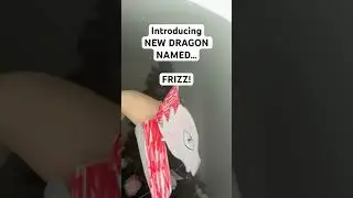 Frizz!