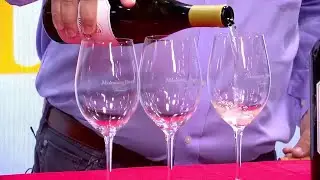 Fall Wine Festival at Mountain Brook Vineyards