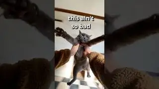 He got dizzy after this...