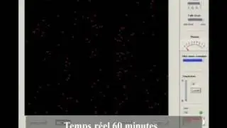 Photon interference