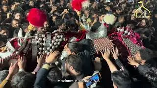 28 Rajab 2025 | Baramdagi Zuljanah Imamia Colony Lahore #viralvideo #youtube #imamiacolony #28rajab