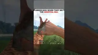Americans When They See Their Hospital Bill
