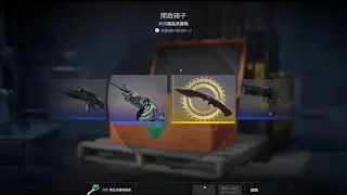 [CS2 Caseopen] What will come out after opening 22 Cases in one time