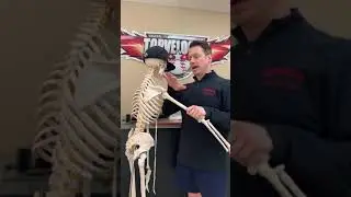 How to Remedy Shoulder Pain Pitching