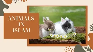 Animals-The small creatures of ALLAH #cleancontent #viralvideo #allahuakbar #trending #animals
