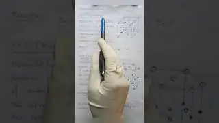 ZnS (Sphalerite & Wurtzite) Type Crystal {4:4 Coordination}