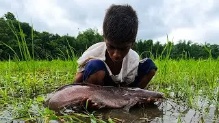 Best Hand Fishing Video 2021- Catch Fish in the Grass Near the River