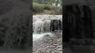 Marinnup Falls Dwellingup walking trail #relaxing #walkthrough #falls #nature