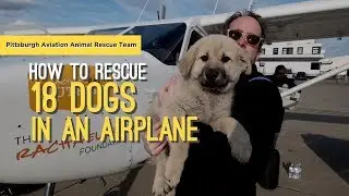 How to Save 18 Dogs With An Airplane