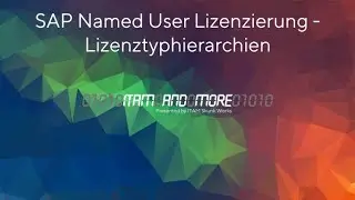 SAP Named User Lizenzierung - Lizenztyphierarchien