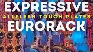 Expressive Eurorack (AllFlesh Touch Plates)