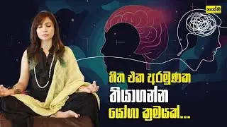 හිත එක අරමුණක තියාගන්න යෝගා ක්&zwj;රමයක්...