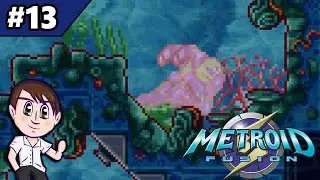 Давайте поиграем в Metroid Fusion Эпизод 13: Секретное послание Адама