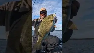 😎 Эта маленькая приманка ловит окуня, когда он не хочет клевать! 😎