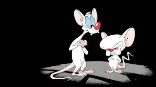 Pinky Brain - Pocket Savior