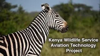 ​U.S. Partners with Kenya Wildlife Service to Protect Wildlife