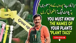 How to Tag Your Plants to Remember Their Names | Smart Gardening Tips with Javed Iqbal