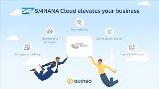 Quinso - S/4HANA Cloud Elevates your business