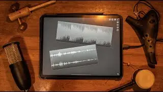 Musical Ideas in One Minute | Borderlands Granular & Dreadbox Nyx