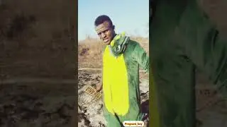 ndatodzingwa basa zvese nekujeri