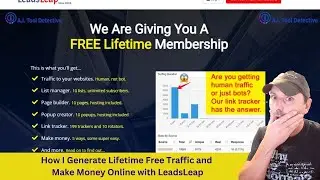 How I Generate Lifetime Free Traffic and Make Money Online with LeadsLeap