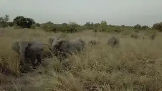 Pendjari National park in Benin bounces back to life