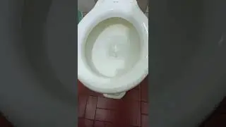 Vaso Sanit&aacute;rio Celite Retr&ocirc; Anos 40/50 E Pia Vitri Anos 40/50