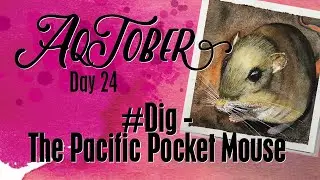 InkTober &bull; Day 24 #Dig &bull; AqTober &bull; Endangered Species &bull; The Pacific Pocket Mouse