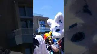 Классика в Furfriday #Furry #fursuiter #fursona #furfriday