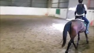 F&oslash;rste gang i ridehus
