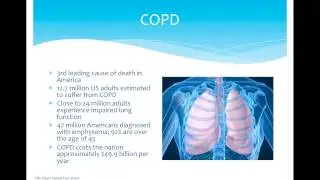 Webinar: Stem Cells in Anti-Aging Medicine - Workshop Preview