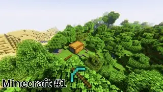 Questionable Minecraft Moments (Feat. ShrimpSauce) | Minecraft #1